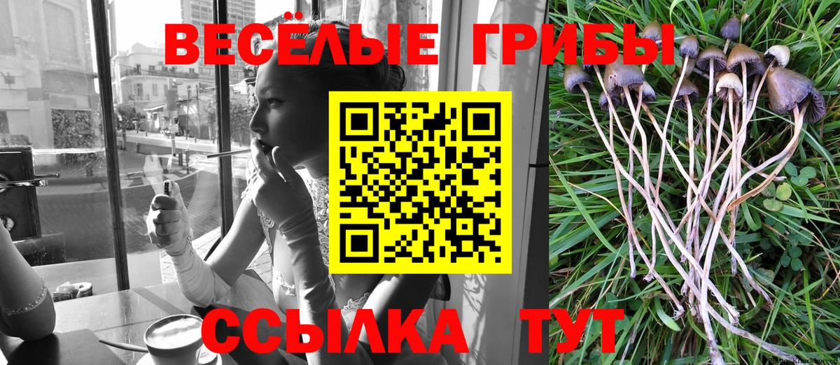 Галлюциногенные грибы Cubensis Шали