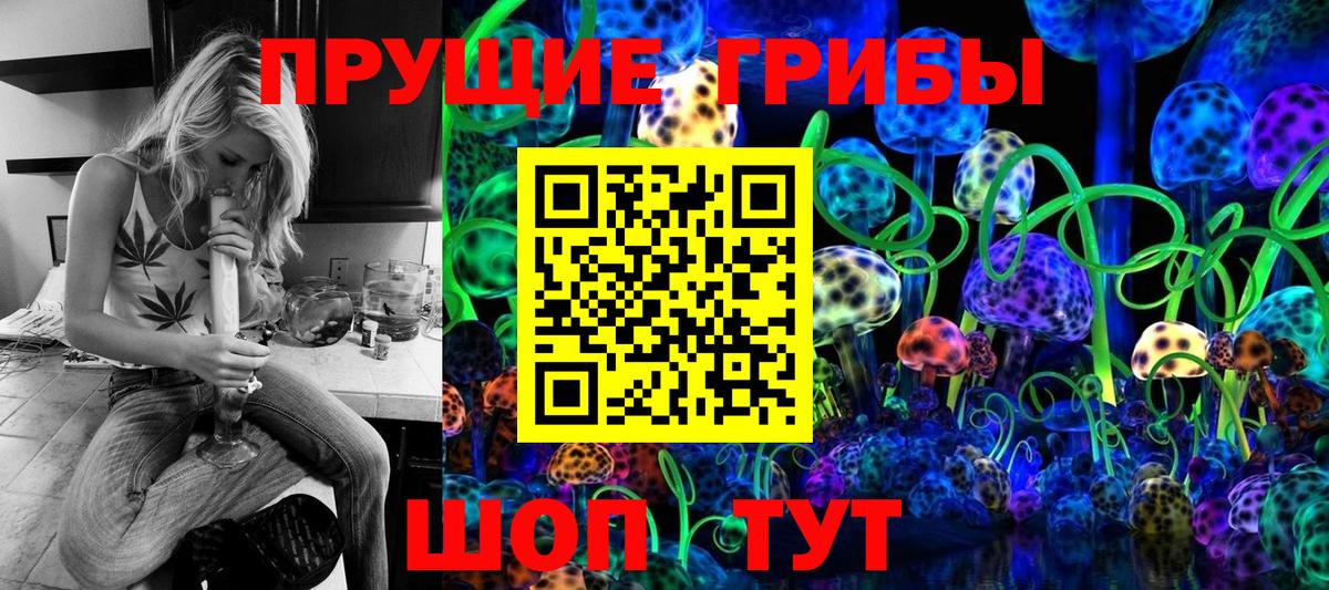 Галлюциногенные грибы Psilocybine cubensis  Вход с VPN  Шали 